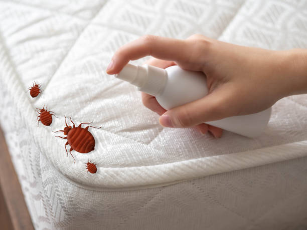 Best Pest Prevention Services  in New Hope, OR